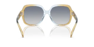 Coach Sunglasses HC8395U