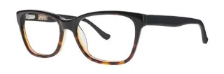 Black Tortoise
