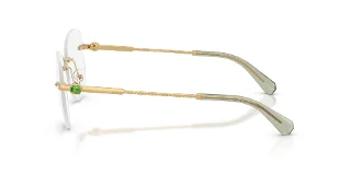 Swarovski Eyeglasses SK1021