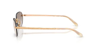 Ralph Lauren Sunglasses RL7089