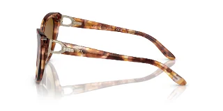 Ralph Lauren Sunglasses RL8215BU