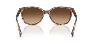 Coach Sunglasses HC8132 L109