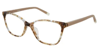 C02 Linen Tortoise