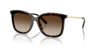 333313 Dark Tortoise