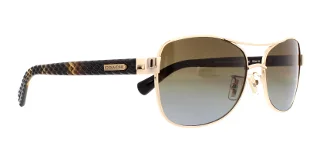 Coach Sunglasses HC7054 L129