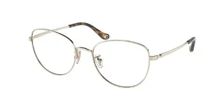 9005 Shiny Light Gold