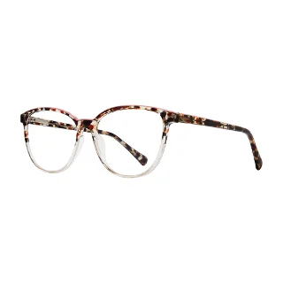 Stylewise Eyeglasses SW458