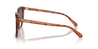 Coach Sunglasses HC8384U