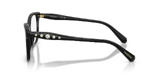 Swarovski Eyeglasses SK2061F