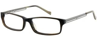 Viva Eyeglasses V266