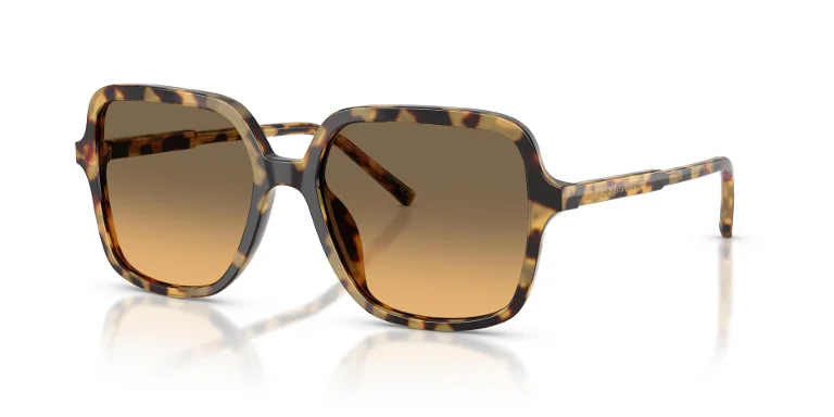 Dolce & Gabbana Sunglasses DG4539