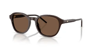 625573 Shiny Brown