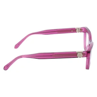 Salvatore Ferragamo Eyeglasses SF3021