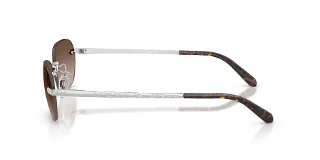 Ralph Lauren Sunglasses RL7089