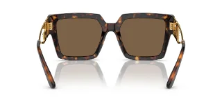 Dolce & Gabbana Sunglasses DG4446B