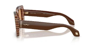Giorgio Armani Sunglasses AR8241U