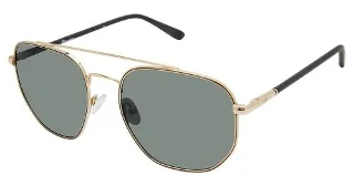 C01 Gold/Black