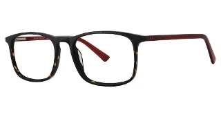 024 Tortoise
