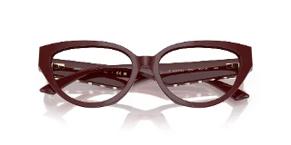 Jimmy Choo Eyeglasses JC3023HU