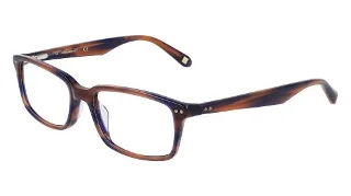410 Blue-Brown Horn
