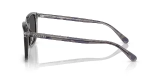 Coach Sunglasses HC8411U
