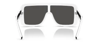 Dolce & Gabbana Sunglasses DG6204