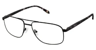 Champion Eyeglasses 4019