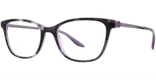 Plum Tort