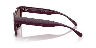 Coach Sunglasses HC8460U