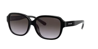Coach Sunglasses HC8298U