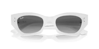 Ray Ban Sunglasses RB4430F