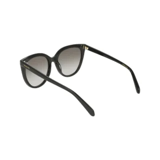 Salvatore Ferragamo Sunglasses SF2101S
