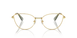 Swarovski Eyeglasses SK1012