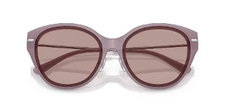 Michael Kors Sunglasses MK2229D