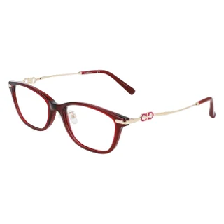 Salvatore Ferragamo Eyeglasses SF2900A