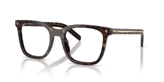 17N1O1 Root Tortoise