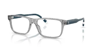 6317 Shiny Transparent Grey