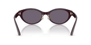 Jimmy Choo Sunglasses JC5064D
