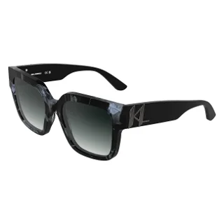 061 Spotted Grey Tortoise