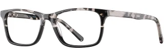 C02 Tuxedo Tortoise/Black