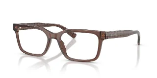 6176 Brown