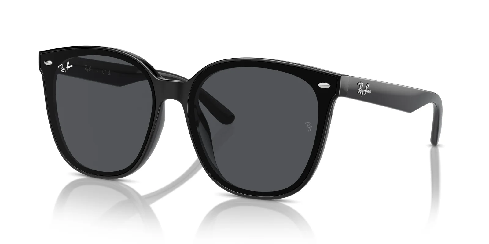 Ray Ban Sunglasses RB4423D