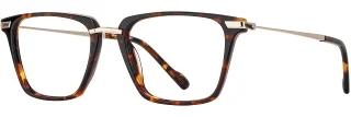 C02 Tortoise/Gold