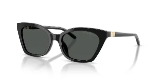 Emporio Armani Sunglasses EA4284U