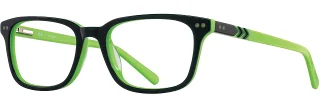 C03 Forest/Lime