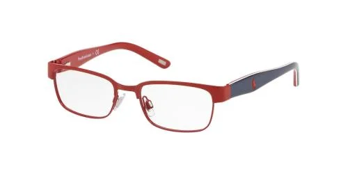 Polo Eyeglasses PP8036