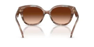 Coach Sunglasses HC8438U