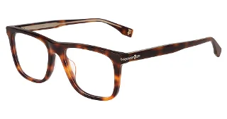 Shiny Dark Havana (0752)