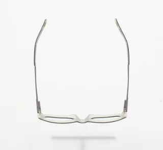 Polo Eyeglasses PP8509