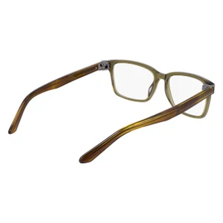 Dragon Eyeglasses DR7013 N
